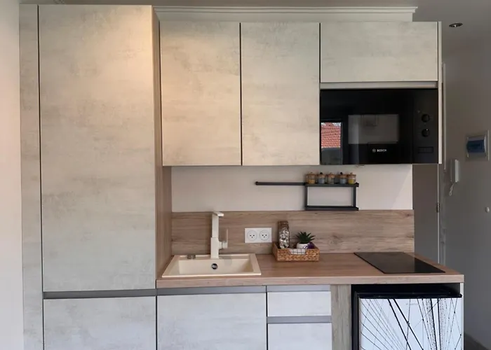 Apartment Bright Ac Prime Location Place Massena Steps From *